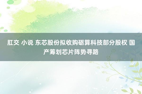 肛交 小说 东芯股份拟收购砺算科技部分股权 国产筹划芯片阵势寻路