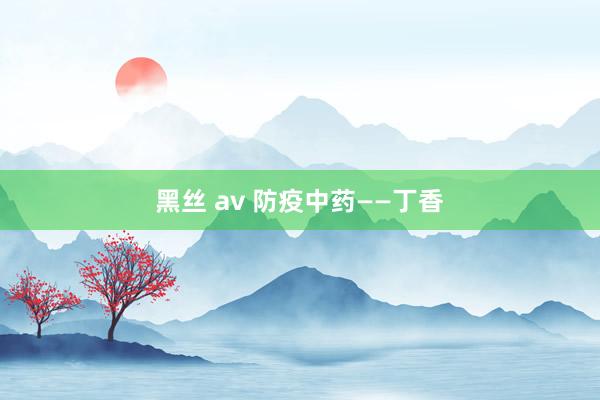 黑丝 av 防疫中药——丁香