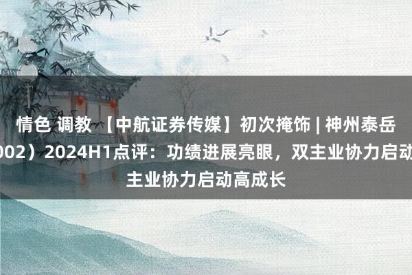 情色 调教 【中航证券传媒】初次掩饰 | 神州泰岳（300002）2024H1点评：功绩进展亮眼，双主业协力启动高成长