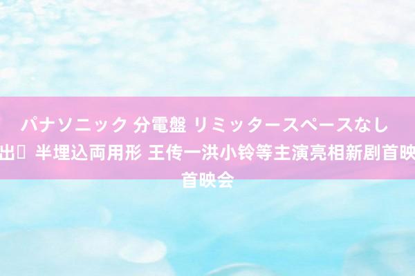 パナソニック 分電盤 リミッタースペースなし 露出・半埋込両用形 王传一洪小铃等主演亮相新剧首映会