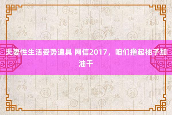 夫妻性生活姿势道具 网信2017，咱们撸起袖子加油干