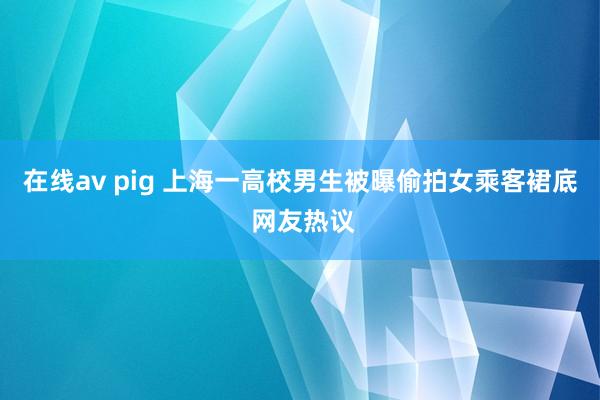 在线av pig 上海一高校男生被曝偷拍女乘客裙底 网友热议